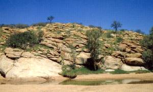 Alice Waterhole, einer der heiligen Pl&auml;tze der Aborigines